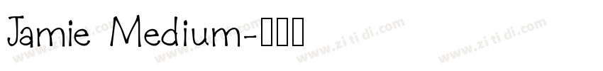 Jamie Medium字体转换
